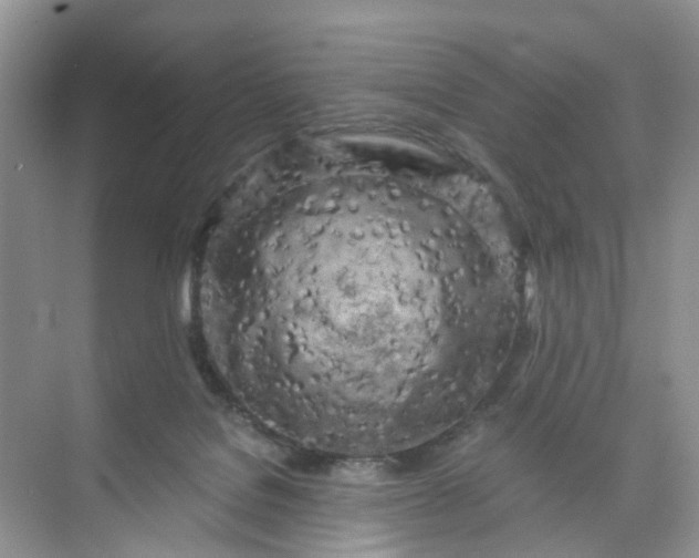 X0000073980076200609051922