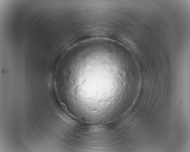 X0000073980077200609051922