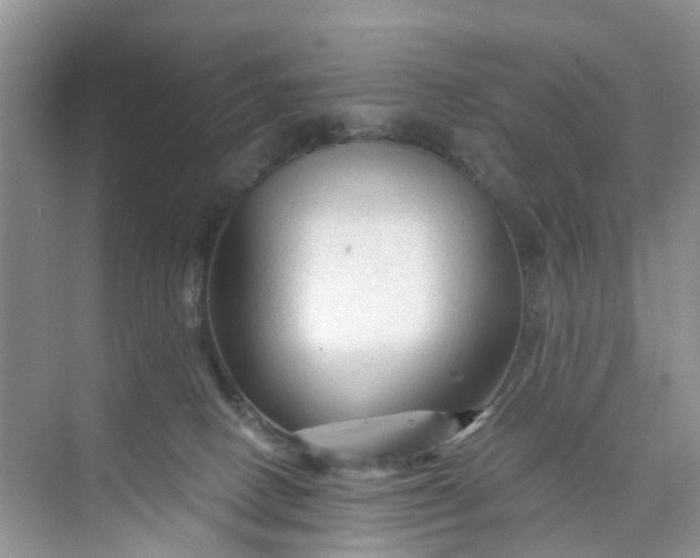 X0000073980082200609051922