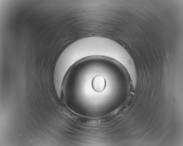 X0000073980084200609051922