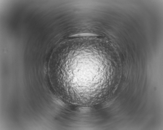 X0000073980085200609051922