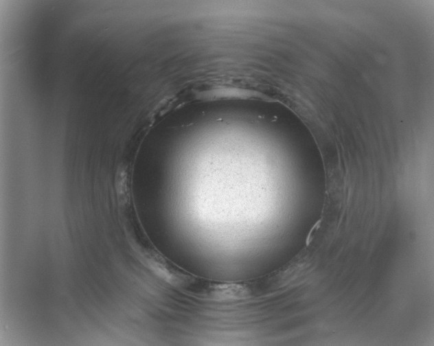 X0000073980087200609051922