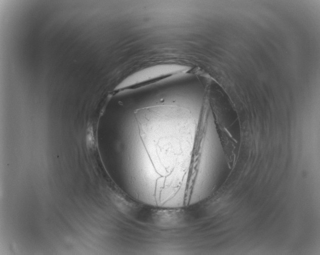 X0000073980089200609051922