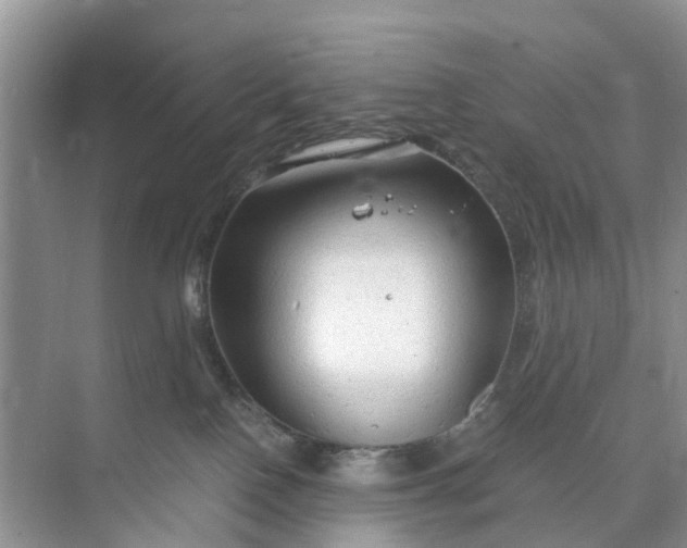 X0000073980090200609051922