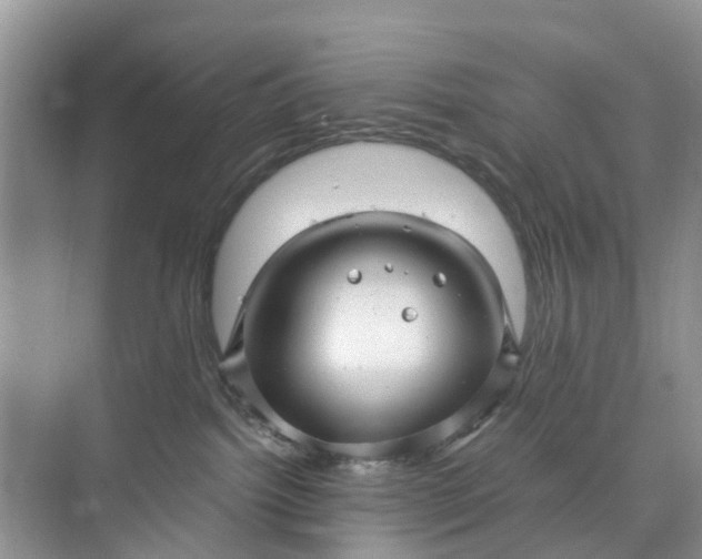 X0000073980092200609051922