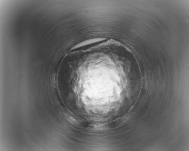 X0000073980093200609051922