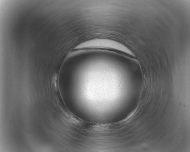 X0000073980094200609051922