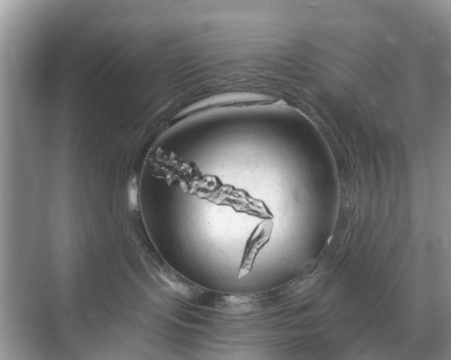 X0000073980095200609051922