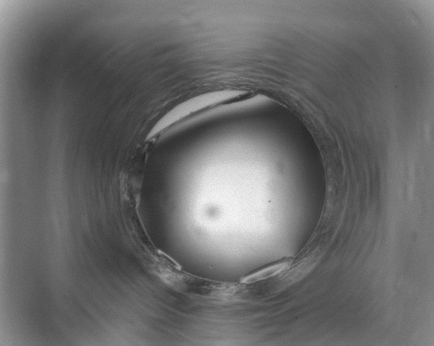 X0000073980096200609051922