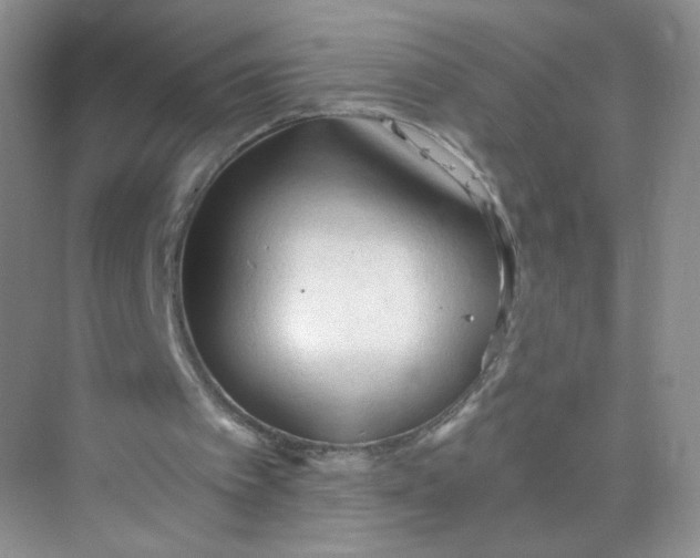 X0000073980097200609051921