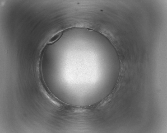 X0000073980098200609051921