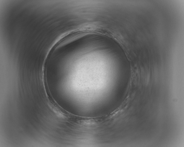 X0000073980100200609051921