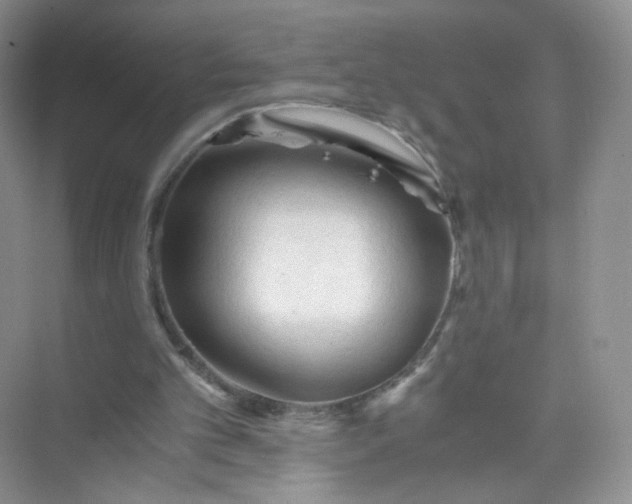 X0000073980101200609051921