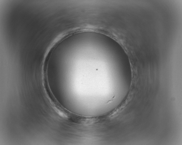 X0000073980102200609051921