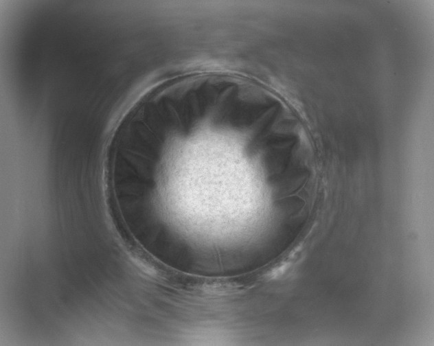 X0000073980103200609051921