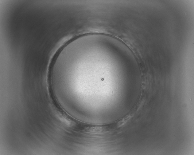 X0000073980104200609051921