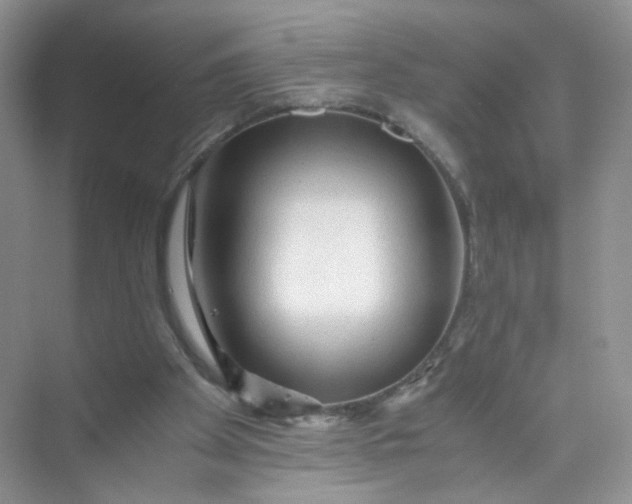 X0000073980105200609051921