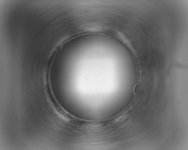 X0000073980106200609051921