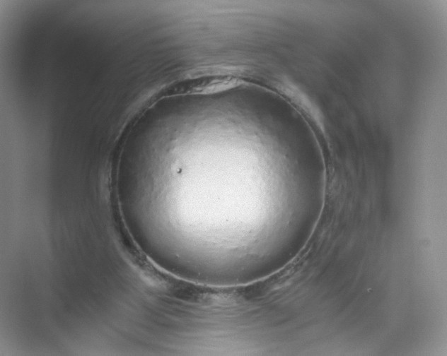 X0000073980107200609051921