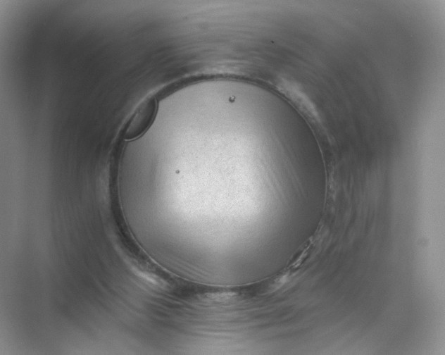 X0000073980108200609051921