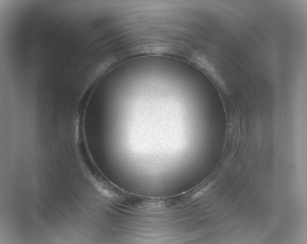 X0000073980110200609051921