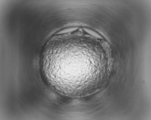 X0000073980111200609051921