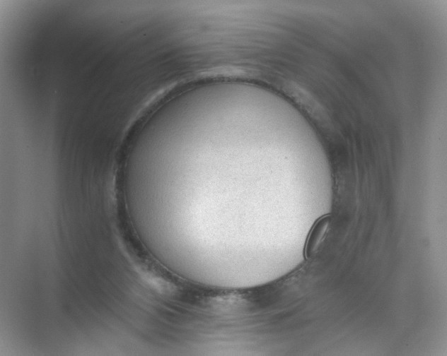 X0000073980112200609051921