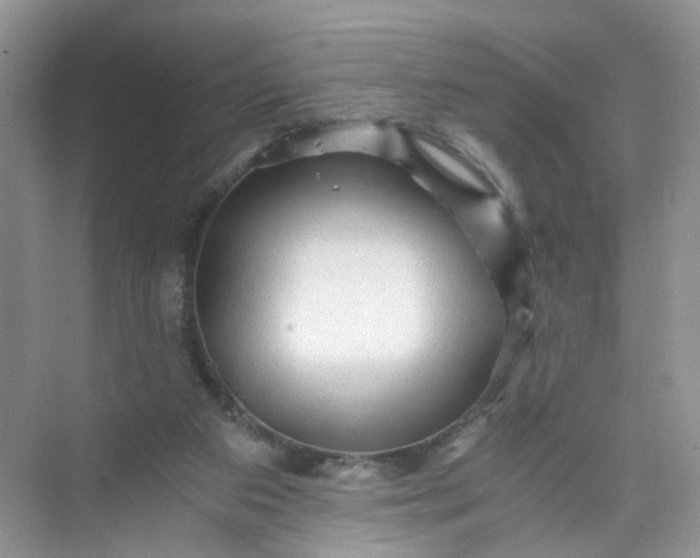 X0000073980113200609051921