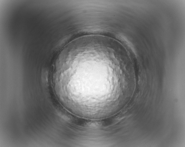 X0000073980115200609051921