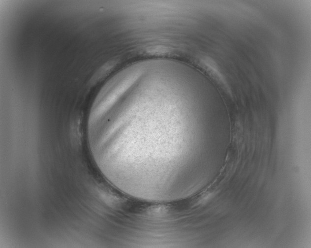 X0000073980116200609051921