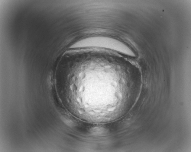 X0000073980119200609051921