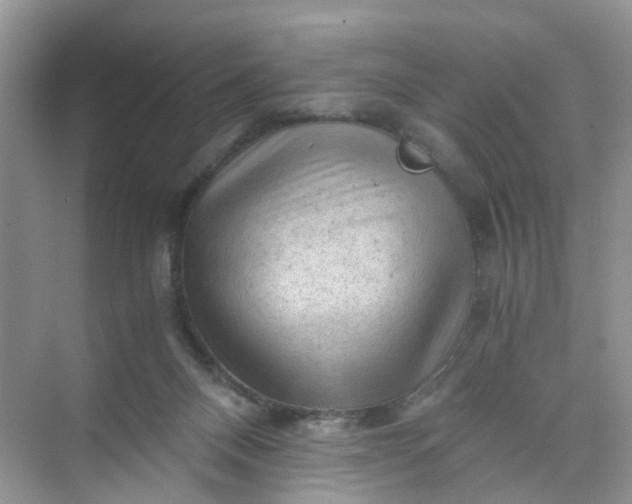 X0000073980120200609051921