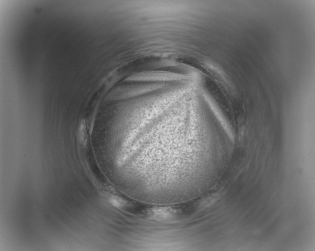 X0000073980121200609051921