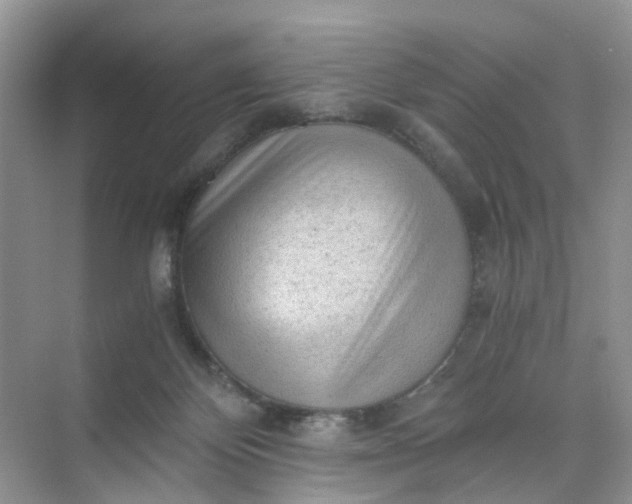 X0000073980124200609051921