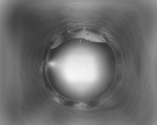 X0000073980125200609051921