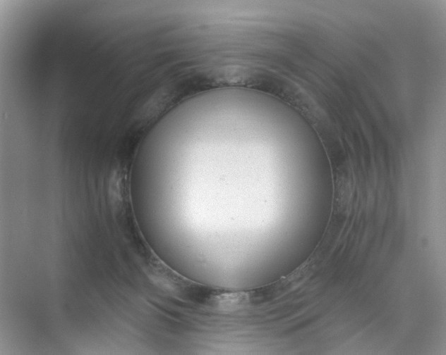 X0000073980126200609051921