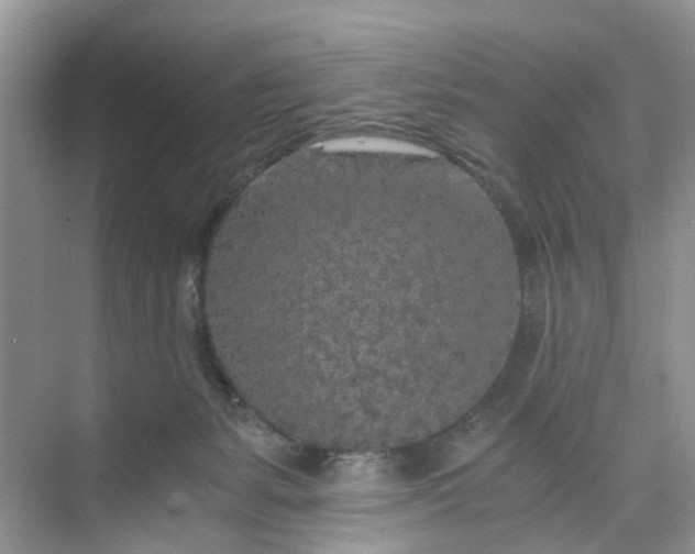 X0000073980127200609051921