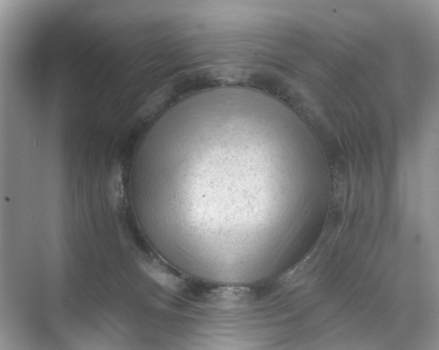 X0000073980128200609051921