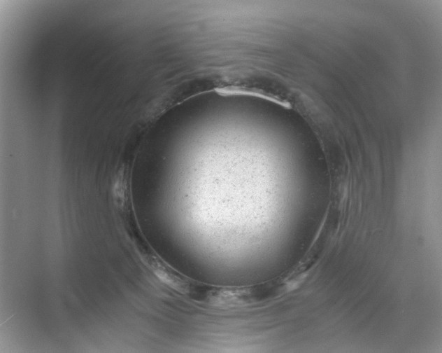 X0000073980129200609051921