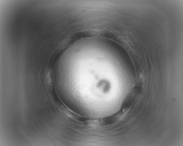 X0000073980131200609051921