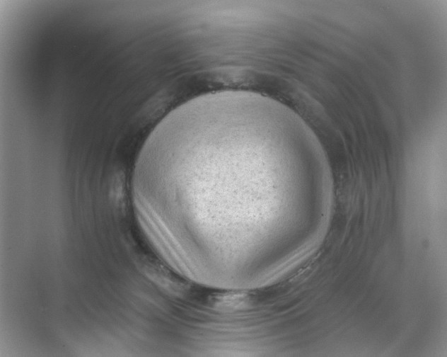 X0000073980132200609051921