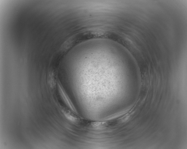 X0000073980136200609051921