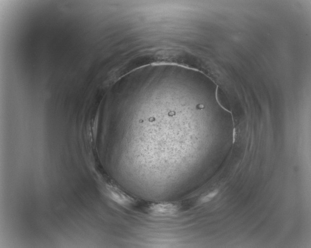 X0000073980137200609051921