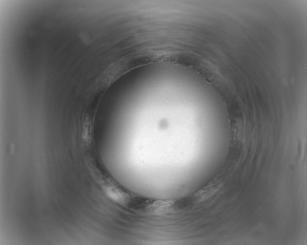 X0000073980138200609051921