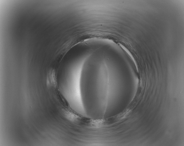 X0000073980143200609051921