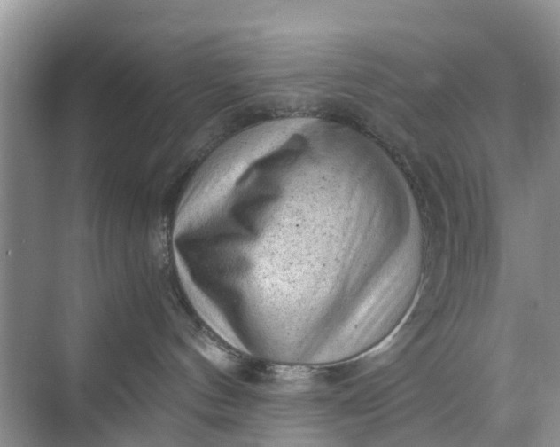 X0000073980144200609051921