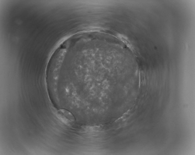 X0000073980147200609051920