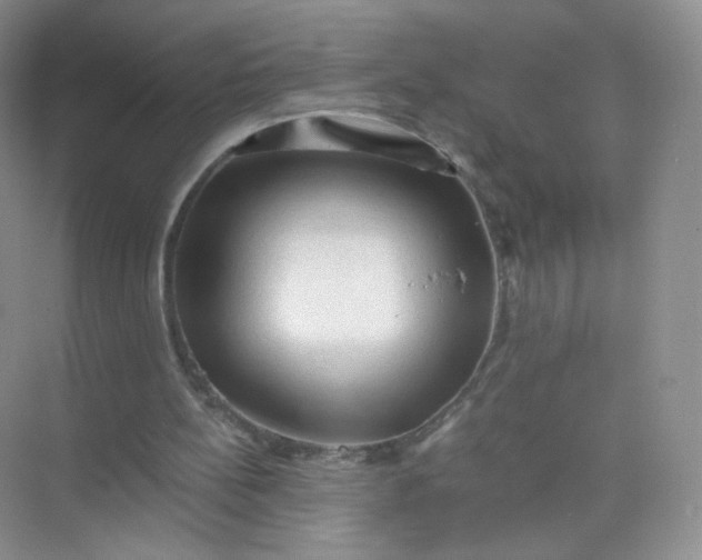 X0000073980148200609051920