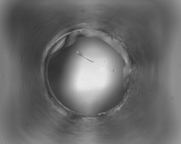 X0000073980150200609051920