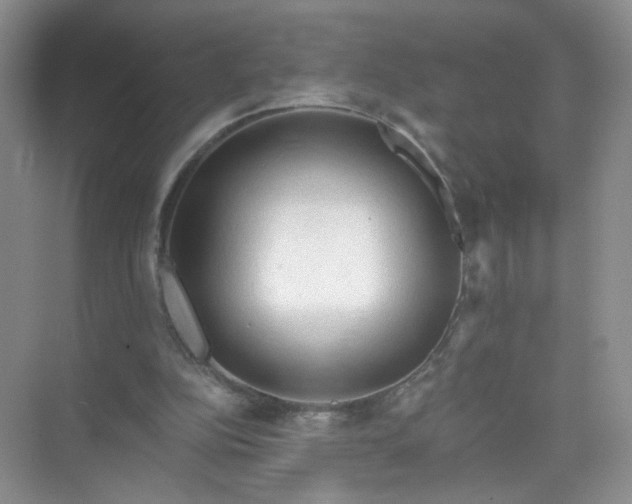 X0000073980152200609051920